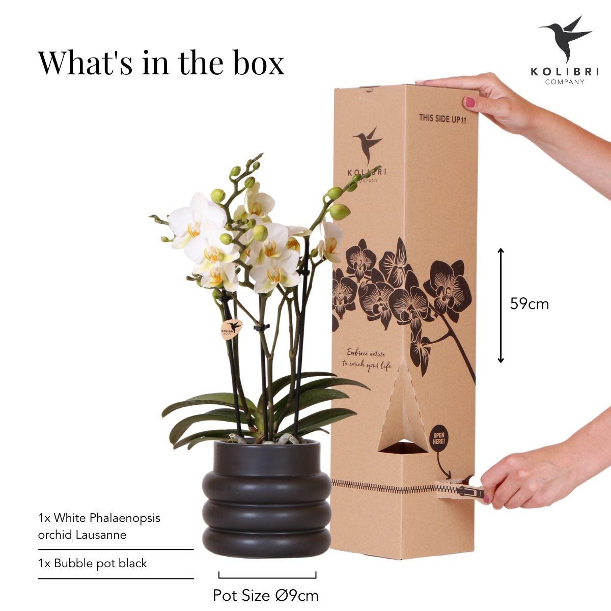 Claire mit schwarzem Topf