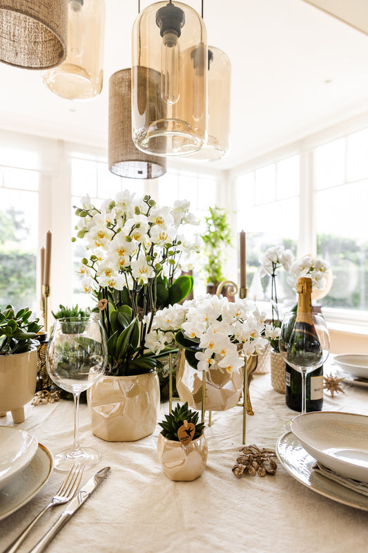 3 x Ziertopf Pearl travertine