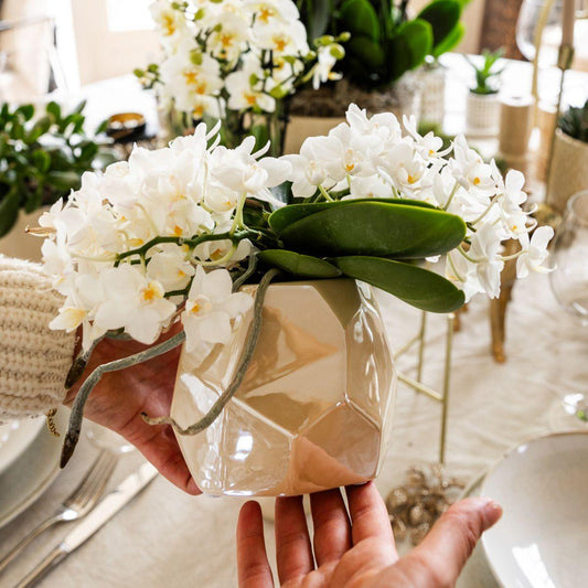 Leonor mit Pearl-Topf travertine