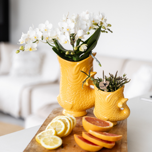 Leonor mit Ziertopf Fisch orange