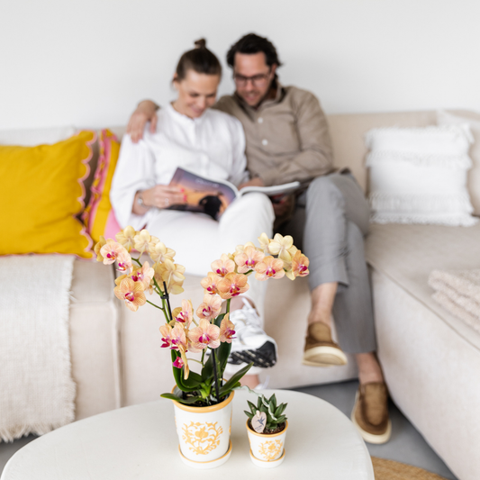 Tika mit Ziertopf Málaga hellorange