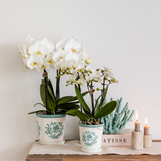 Ziertopf Málaga türkis