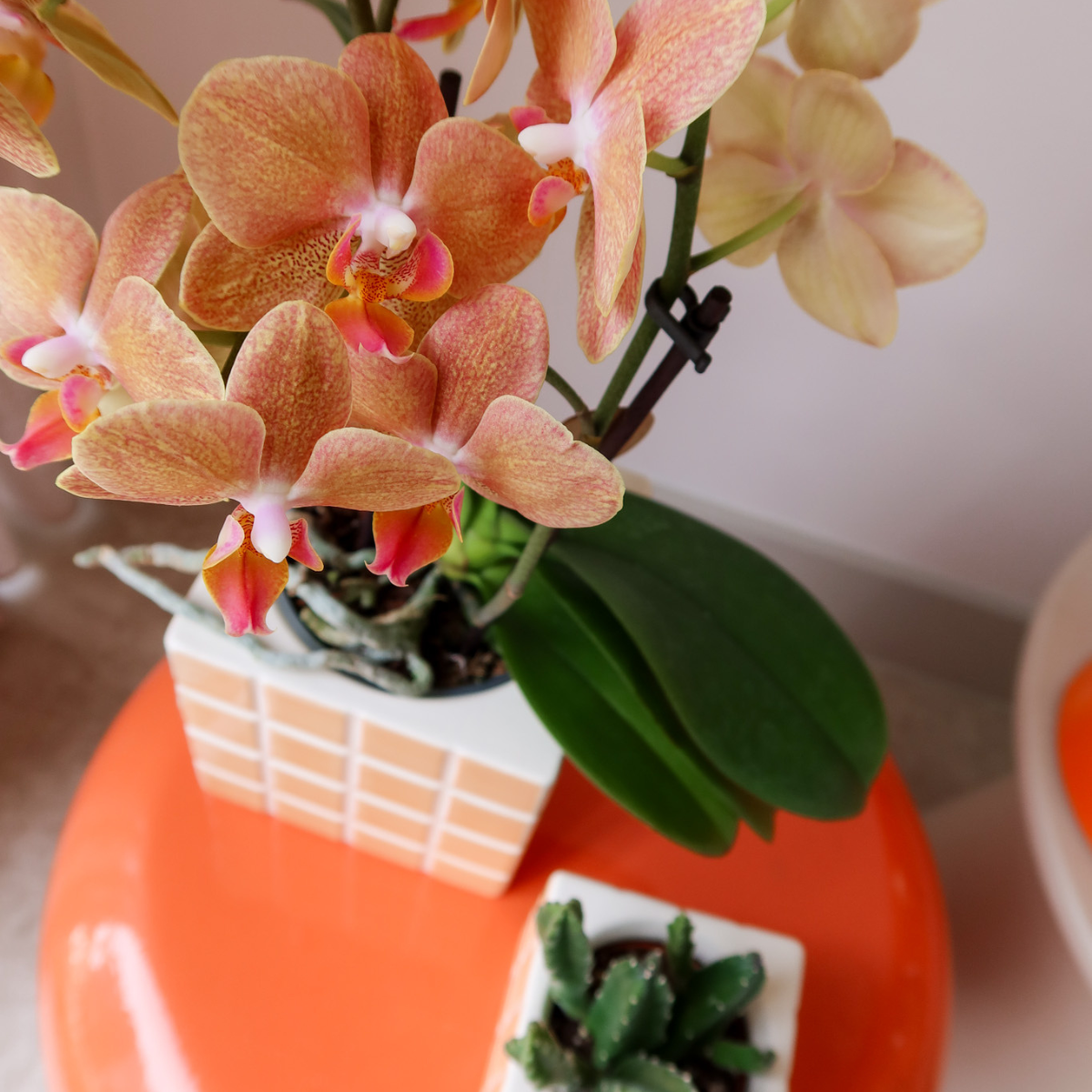 Ziertopf Mosa orange