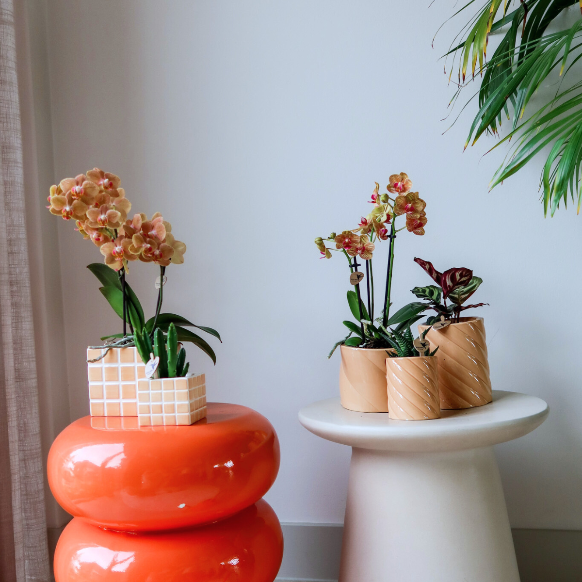 Ziertopf Mosa orange