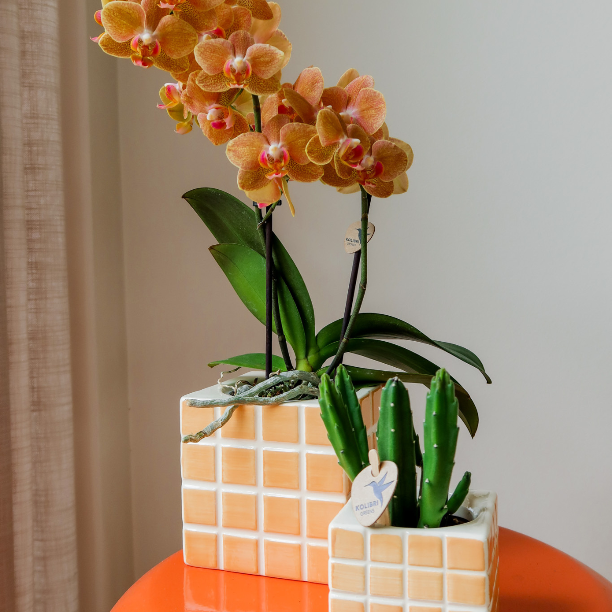 Ziertopf Mosa orange