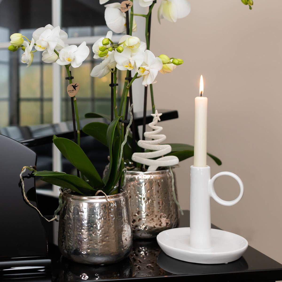 Blanca mit Luxus Topf silber