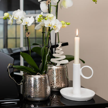 Blanca mit Luxus Topf silber