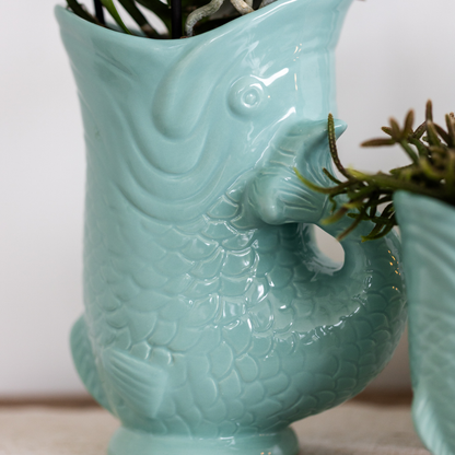 Set Blanca und Crassula Hobbit im Topf türkis