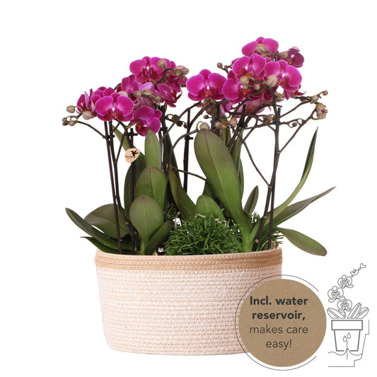Bouquet Valeria
