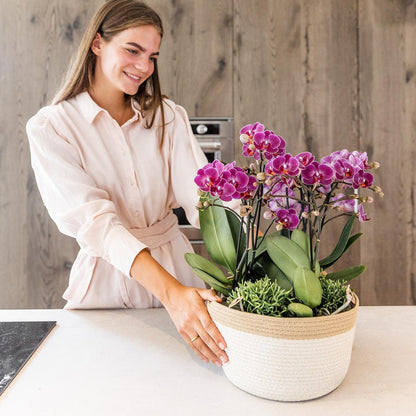Bouquet Valeria