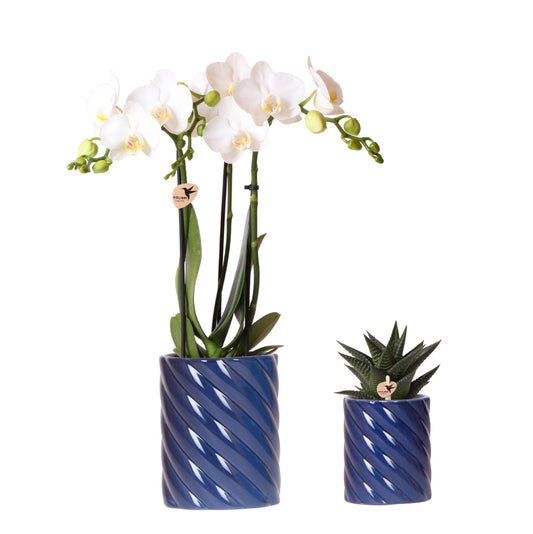 Set Blanca mit Topf Candy blau