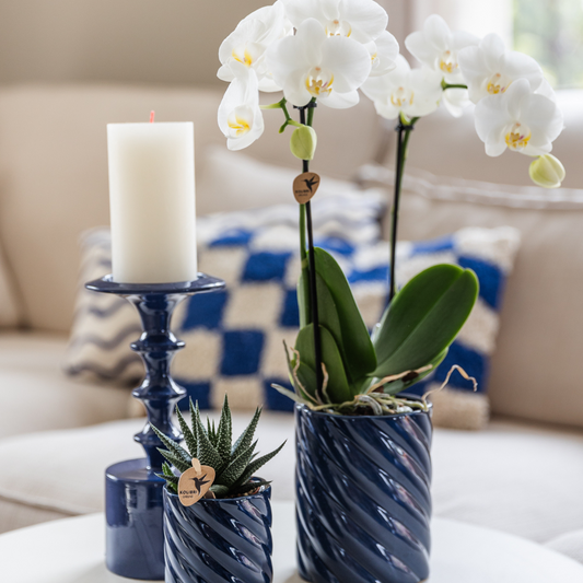 Set Blanca mit Topf Candy blau