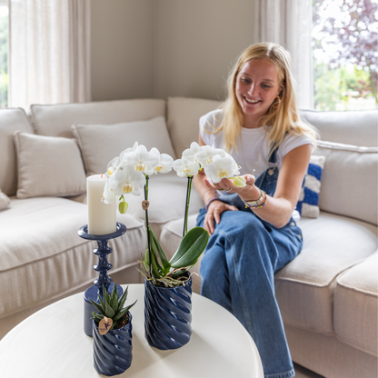 Set Blanca mit Topf Candy blau