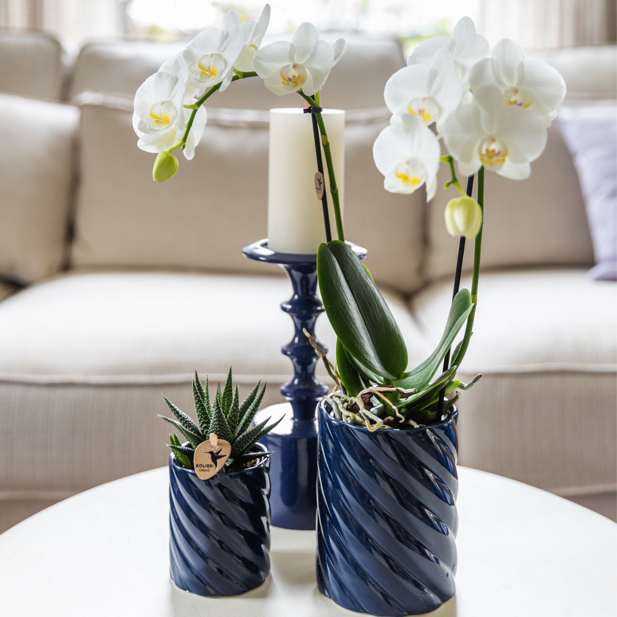Set Blanca mit Topf Candy blau