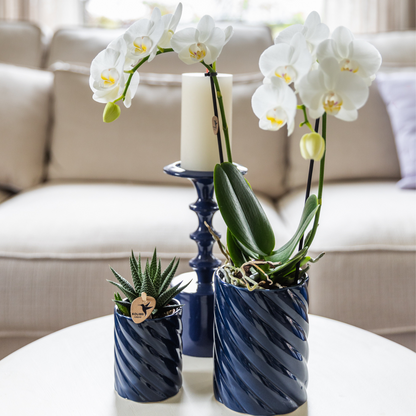 Set Blanca mit Topf Candy blau