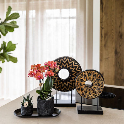 Set 'Home Hub Orange' mit einer Phalaenopsis Orchidee Bolzano und einer Sukkulente in Moon Töpfen für stilvolle Wohnungsdekoration.