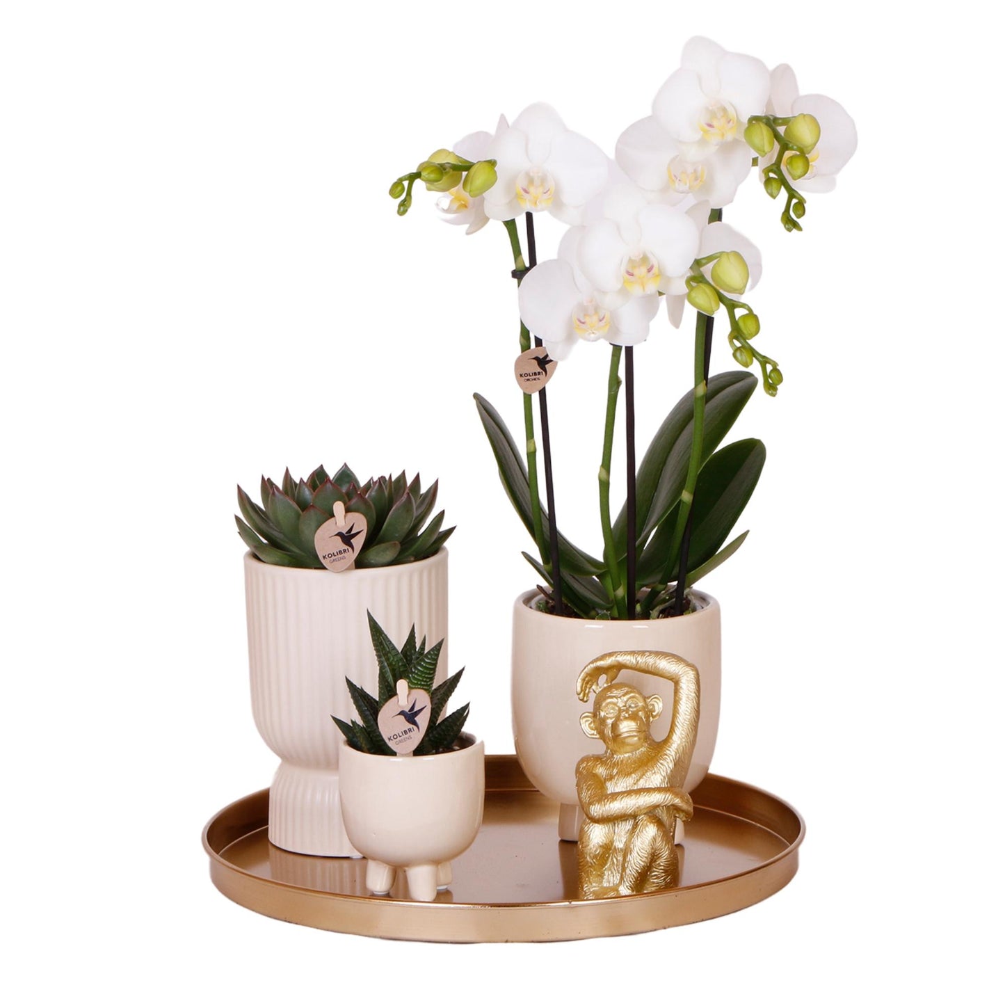 Set "Luxury Living"