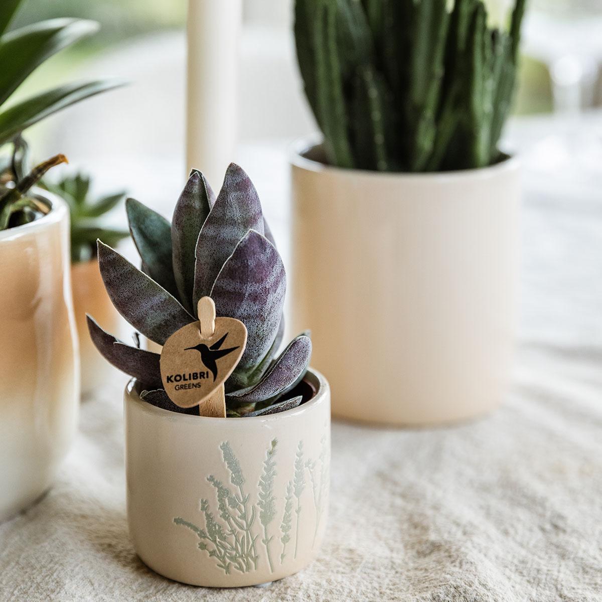 Ziertopf Floral hellblau