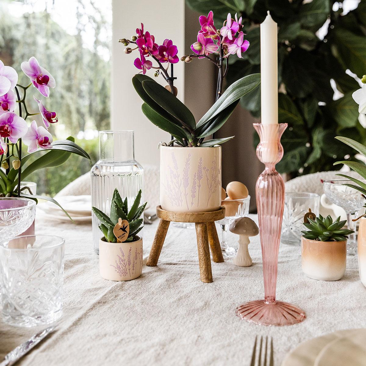 Ziertopf Floral lavendel