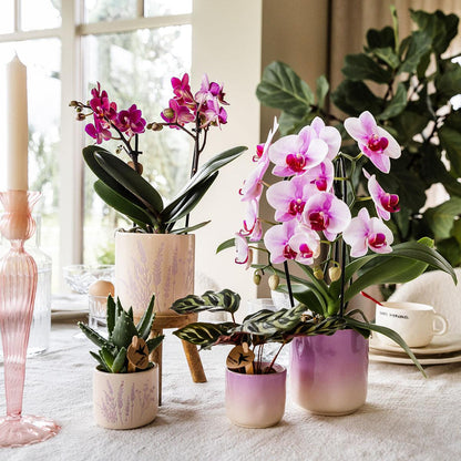 Ziertopf Floral lavendel