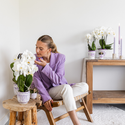 Ziertopf Granada lilac