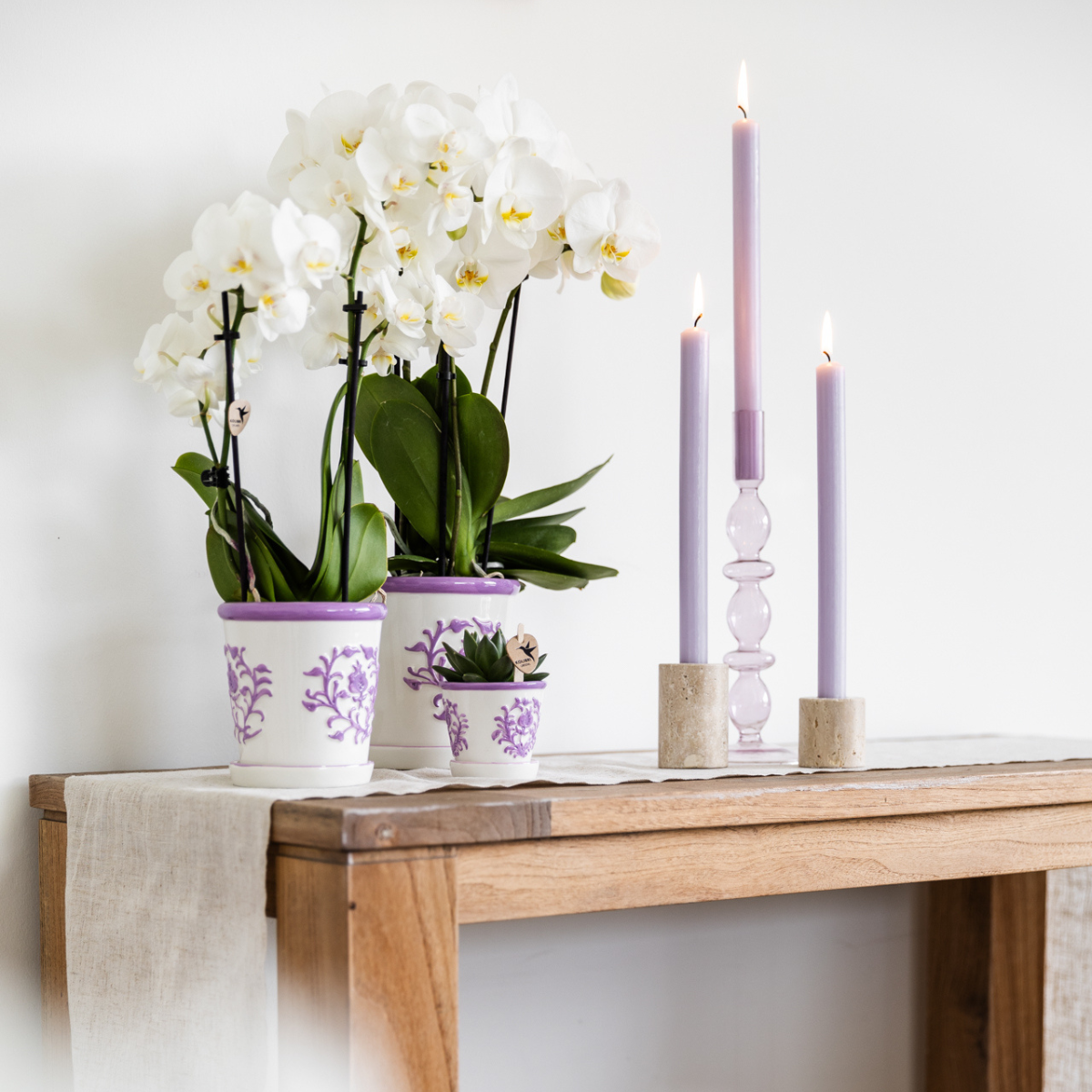Ziertopf Málaga lilac