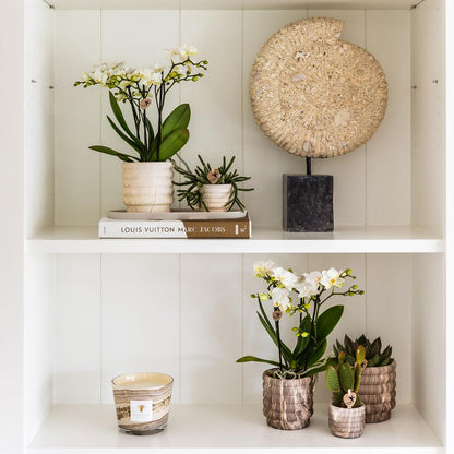 3 x Ziertopf Marmor hell