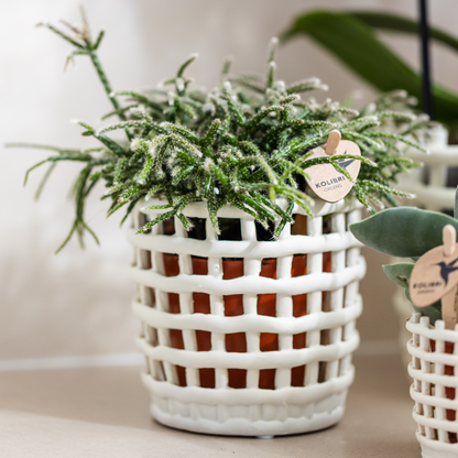 Ziertopf Mesh