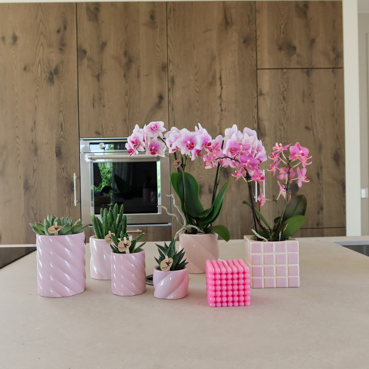 Ziertopf Mosa rosa