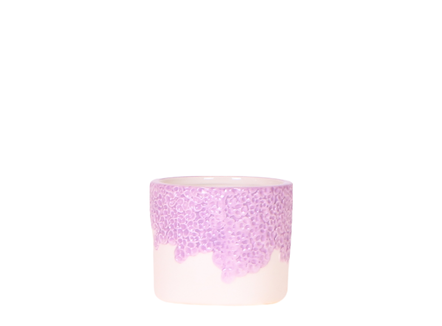 Ziertopf Bloom