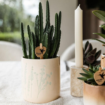 Ziertopf Floral hellblau