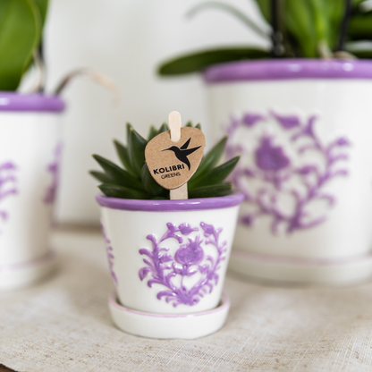 Ziertopf Málaga lilac
