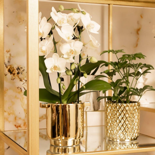 Ziertopf goldmetallic