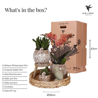 Set "Untamed Nature"