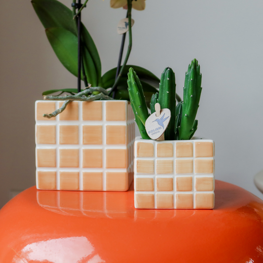 Ziertopf Mosa orange