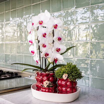 Kolibri Home | Cotton Shine Übertopf - Red - Ø12cm