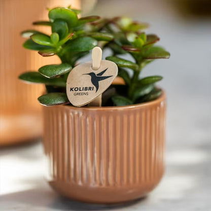Kolibri Home | Flare Übertopf - Cognac - Ø6cm
