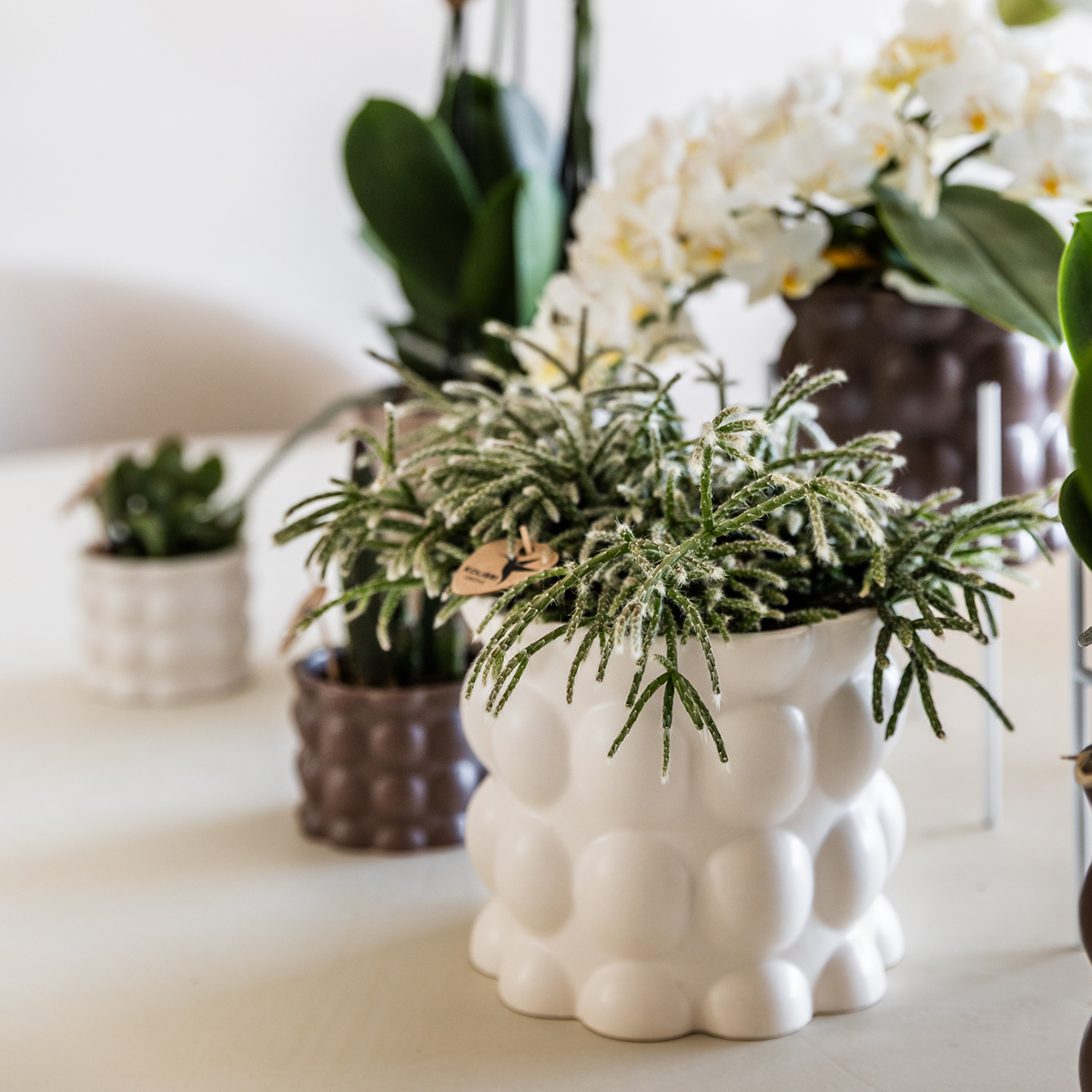 Kolibri Home | Cotton sierpot - White - Ø9cm