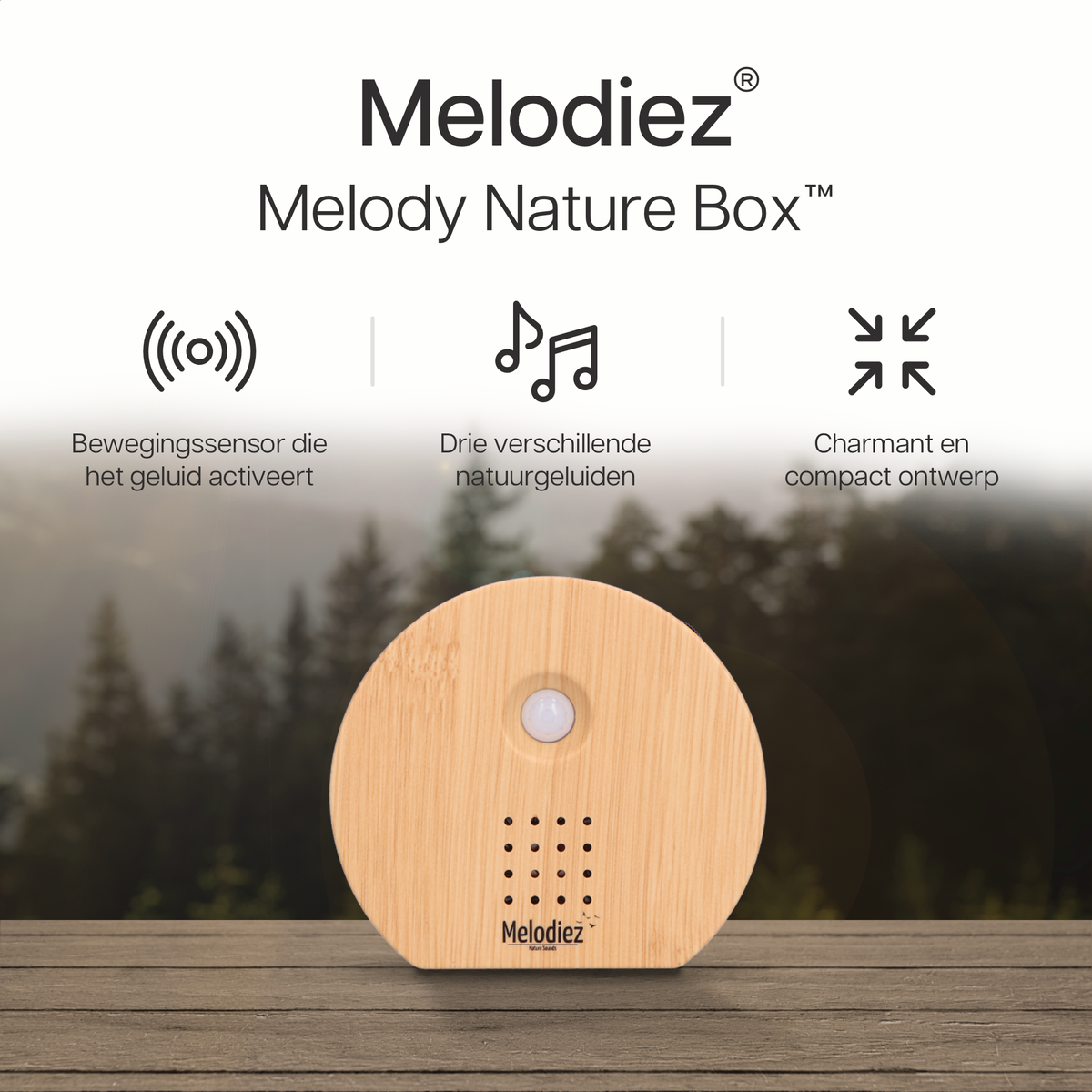 Melodiez Spieluhr  - Holzfarben