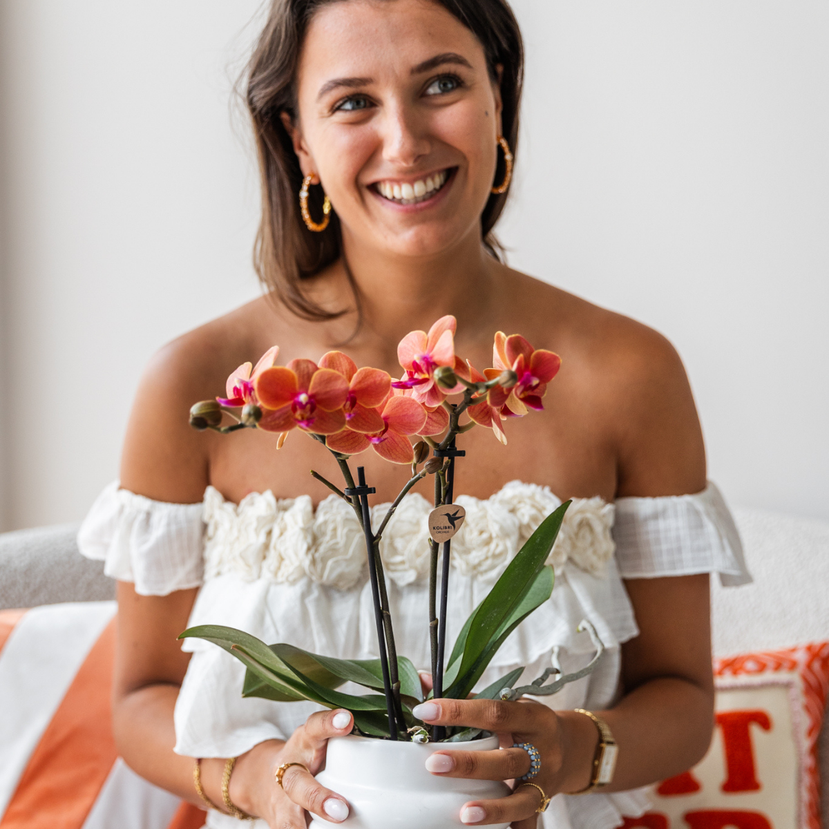 Kolibri Orchids | COMBI DEAL von 4 orange Phalaenopsis Orchideen - Bozen - Topfgröße Ø9cm blühende Zimmerpflanze - frisch vom Züchter