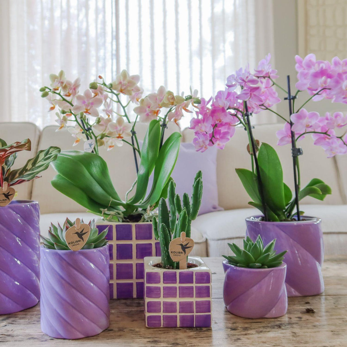 Kolibri Home | Candy Dekotopf - Lilac - Ø9cm