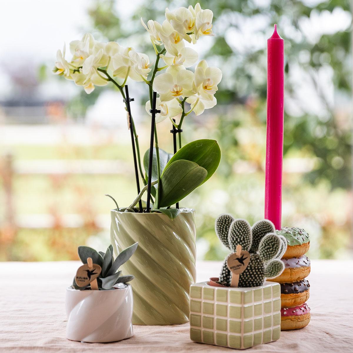Kolibri Home | Candy Dekotopf | Hoch - Green - Ø9cm