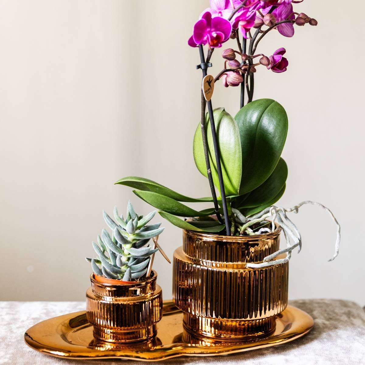 Kolibri Home | Cloud Tablett - Bronze