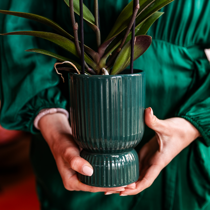 Chiara mit Topf Diabolo grün - mit Gießdocht