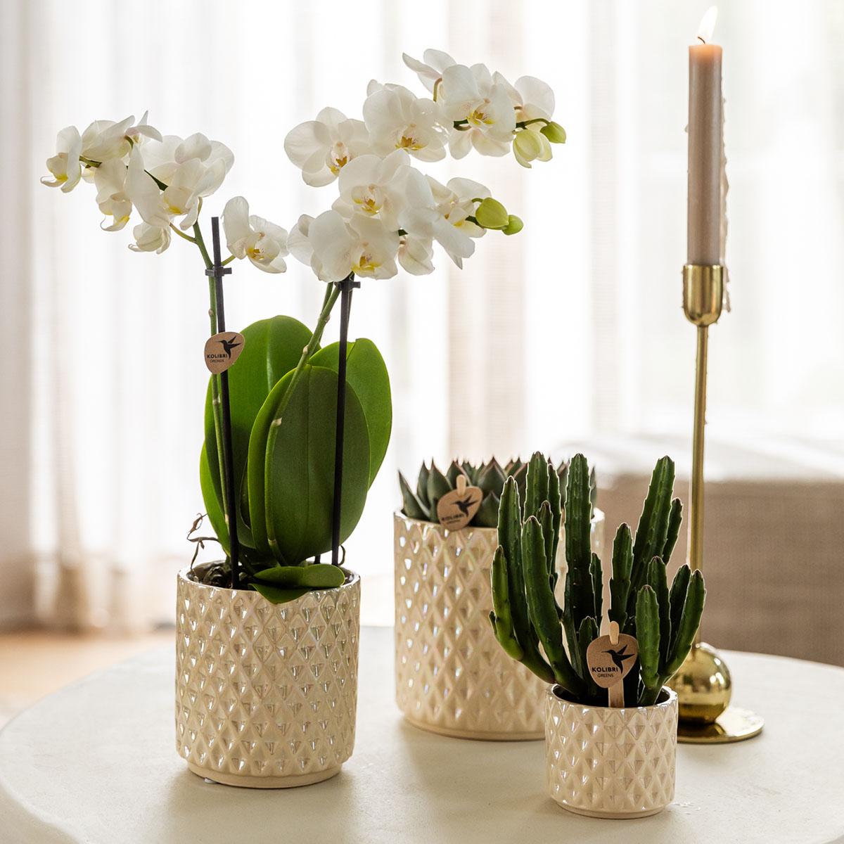 Kolibri Home | Diamond Pearl Dekotopf - Travertine - Ø9cm