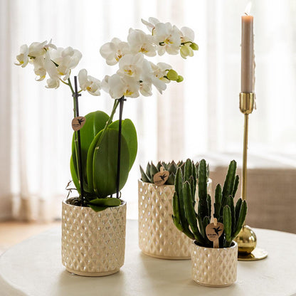 Kolibri Home | Diamond Pearl Dekotopf - Travertine - Ø9cm