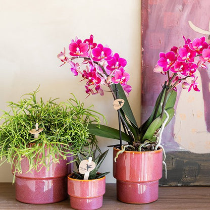Kolibri Home | Timeless Übertopf - Roze - Ø12 cm