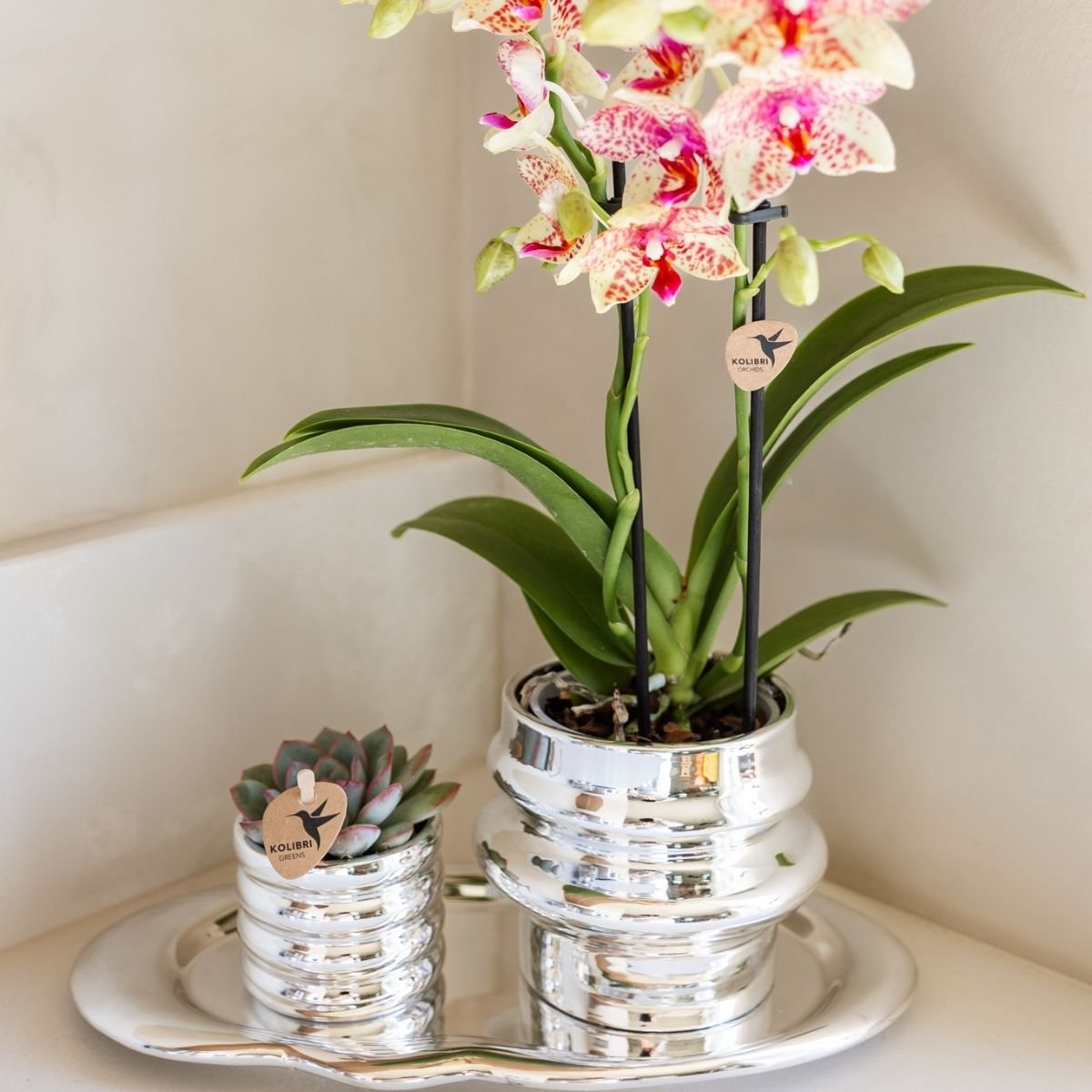 Kolibri Home | Cloud Tablett - Silber