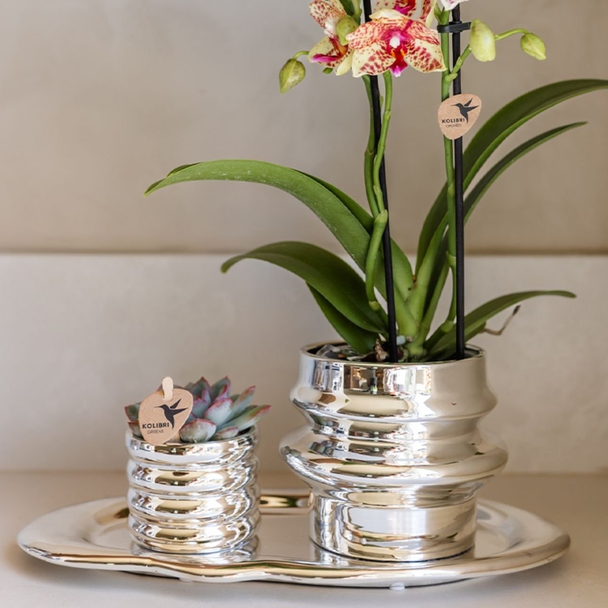 Kolibri Home | Cloud Tablett - Silber