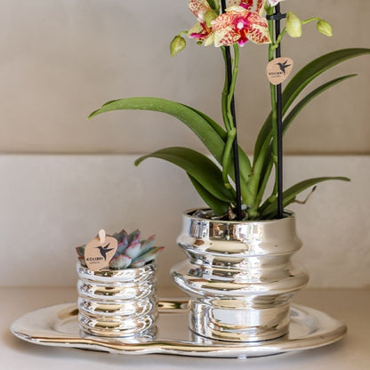 Kolibri Home | Cloud Tablett - Silber